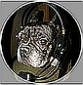 Profile picture for user ZSP2_admin